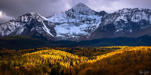 Panoramic view of a valley of bright yellow aspen trees is side lit by sunlight with spruce trees behind them leading to a large mountain covered with a light d