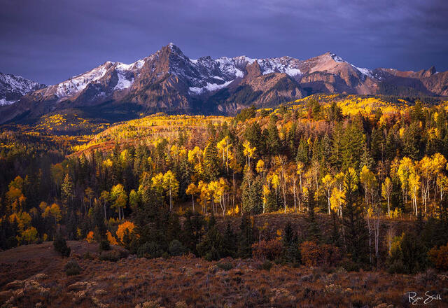 A valley of bright yellow aspen trees and spruce trees is side lit by sunlight with a large mountain covered with a light dusting snow against a dark cloudy sky