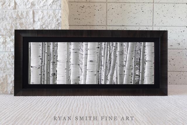 Why Aspen Trees and Birch Trees Make Beautiful Wall Art