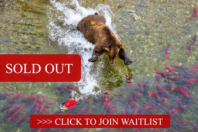 ICONS of Katmai 2027 - VIP Backstage Access and  Front  Row Seats with the Fishing Bears 2027