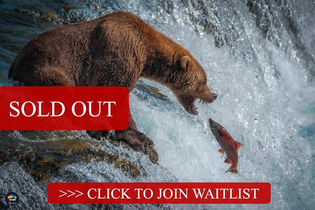 ICONS of Katmai - Brooks Falls  Experience and Beyond!