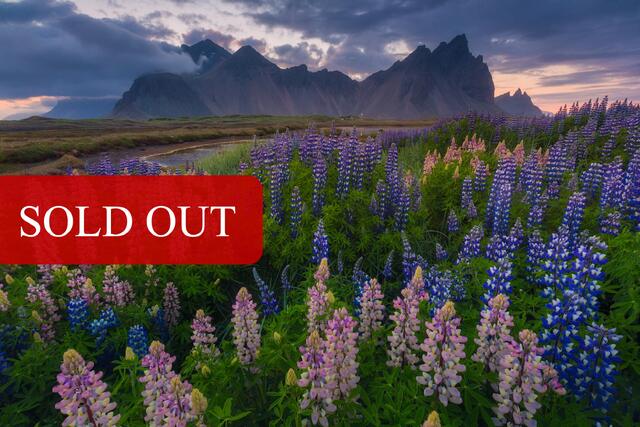 ICONS of Iceland - Midnight Sun in the Highlands Photography Workshop