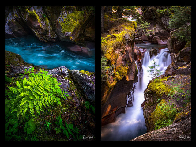 Vertical Visions | Nature Photography Wall Art | Vertical Wall Art For Sale