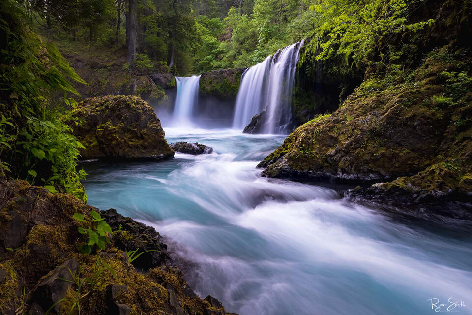 Lush green ferns and trees surround a waterfall that tumbles and falls into a stream of turquoise that flows through the moss covered rocks.
