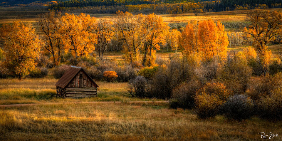 An old cabin sits in a field with a small dirt road in front of it and fall color trees behind it and tan, fall grasses in front with some sunlight hitting.