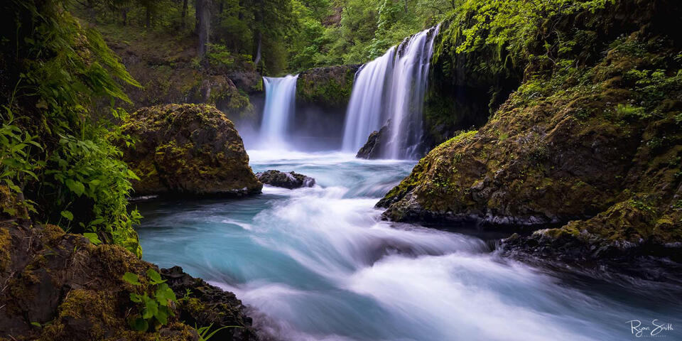 Panoramic image of lush green ferns and trees surround a waterfall that tumbles and falls into a stream of turquoise that flows through the moss covered rocks.