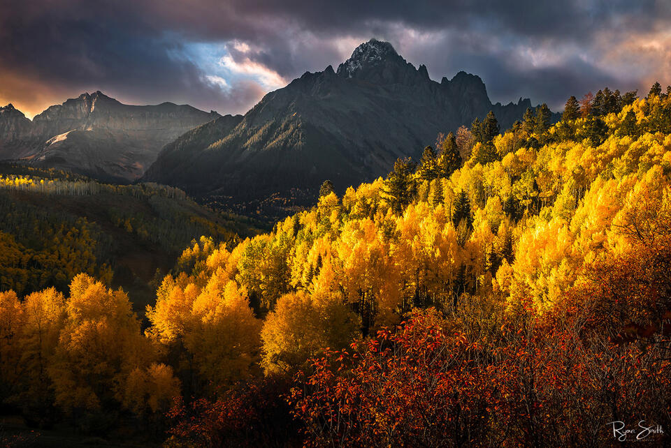 Mountains sit just beneath the pink clouds at sunset with brightly lit yellow aspen trees on the hillside as the sun shines like a spotlight on them.