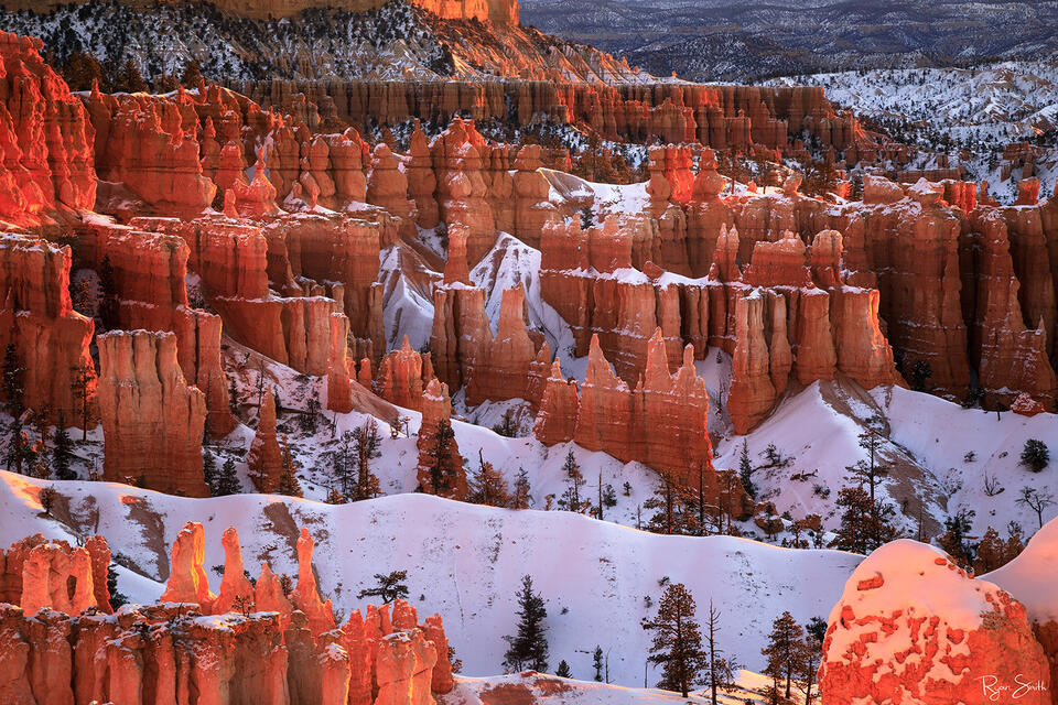 Glowing red rock hoodoos in Bryce Canyon National Park appear as embers in morning light of sunrise