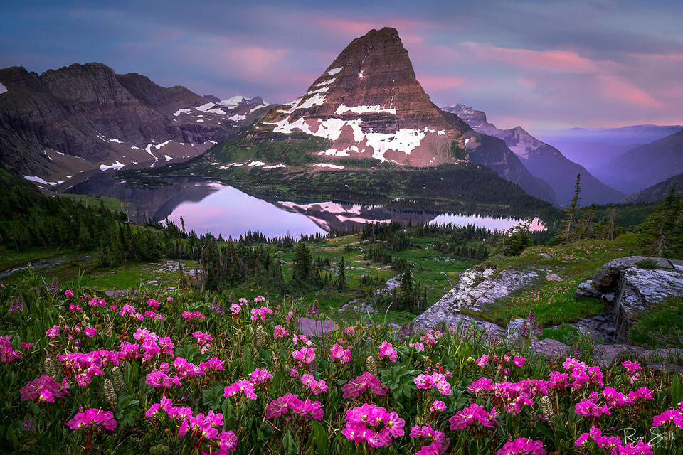 Pink wildflowers fill the meadow in front of an alpine lake with a mountain view that is reflected in the lake. 