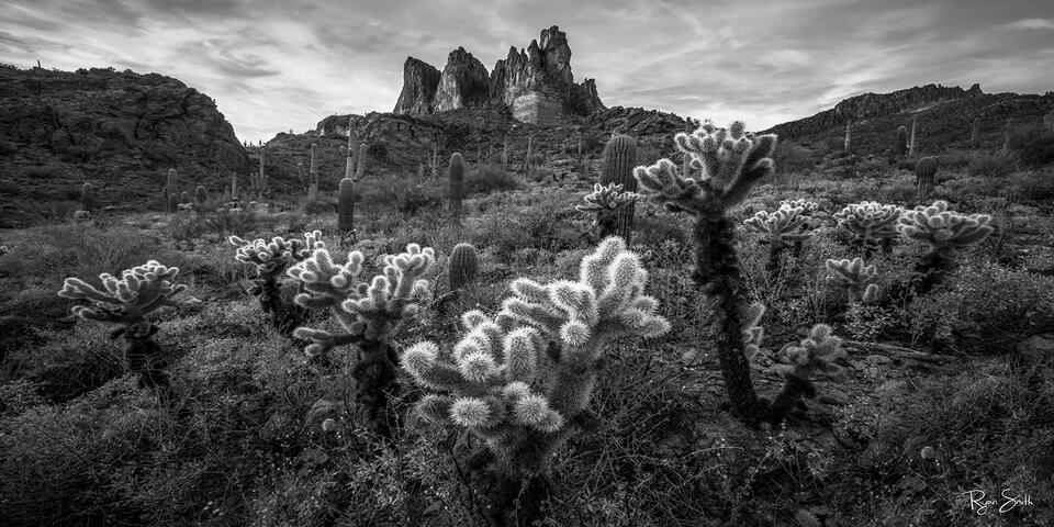 Arizona Glow Monochrome