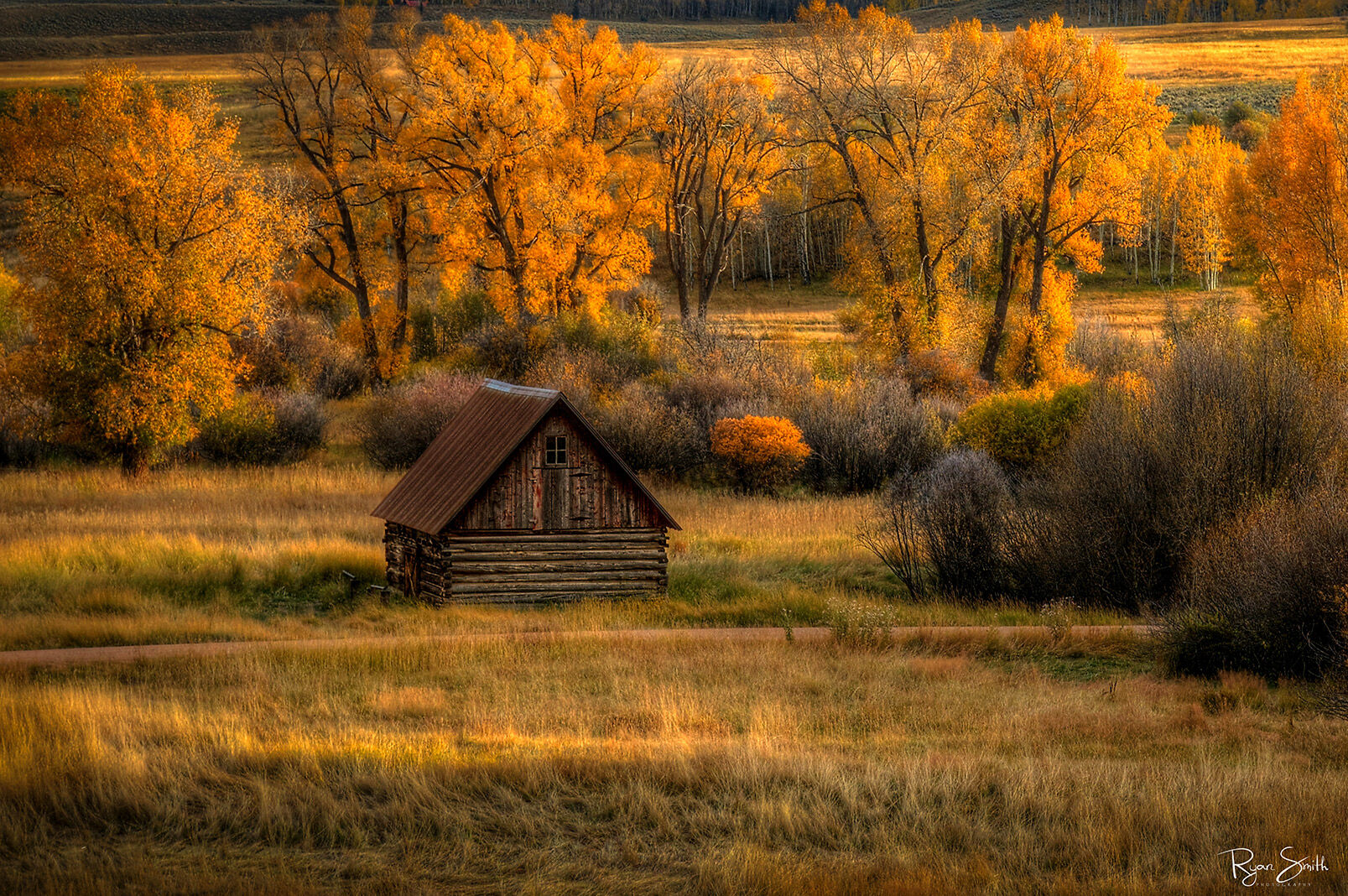 An old cabin sits in a field with a small dirt road in front of it and fall color trees behind it and tan, fall grasses in front with some sunlight hitting.