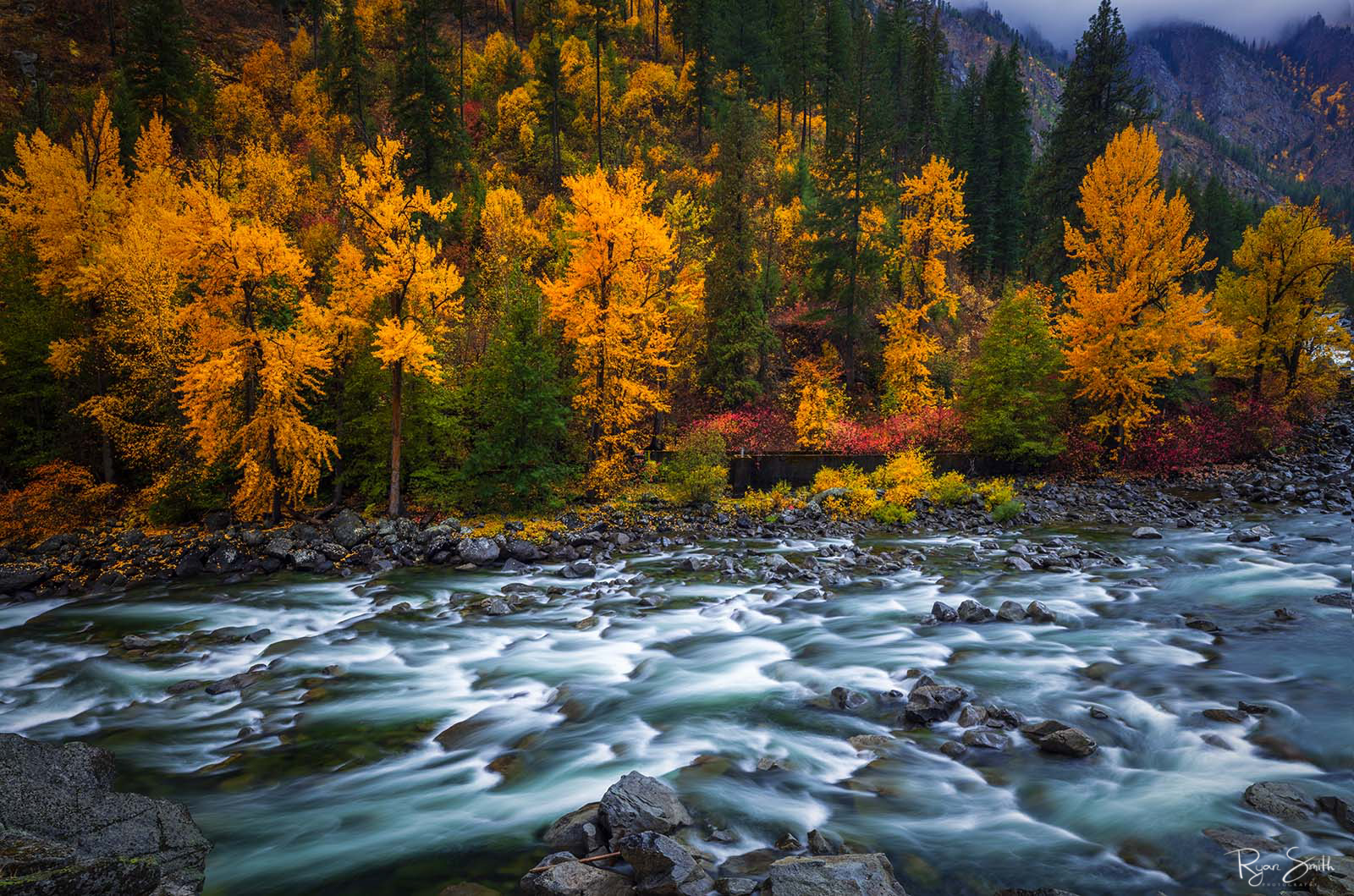 A rocky river is surrounded by trees with yellow and red leaves as well as spruce trees adding green to the scene with blue water and rush of water.