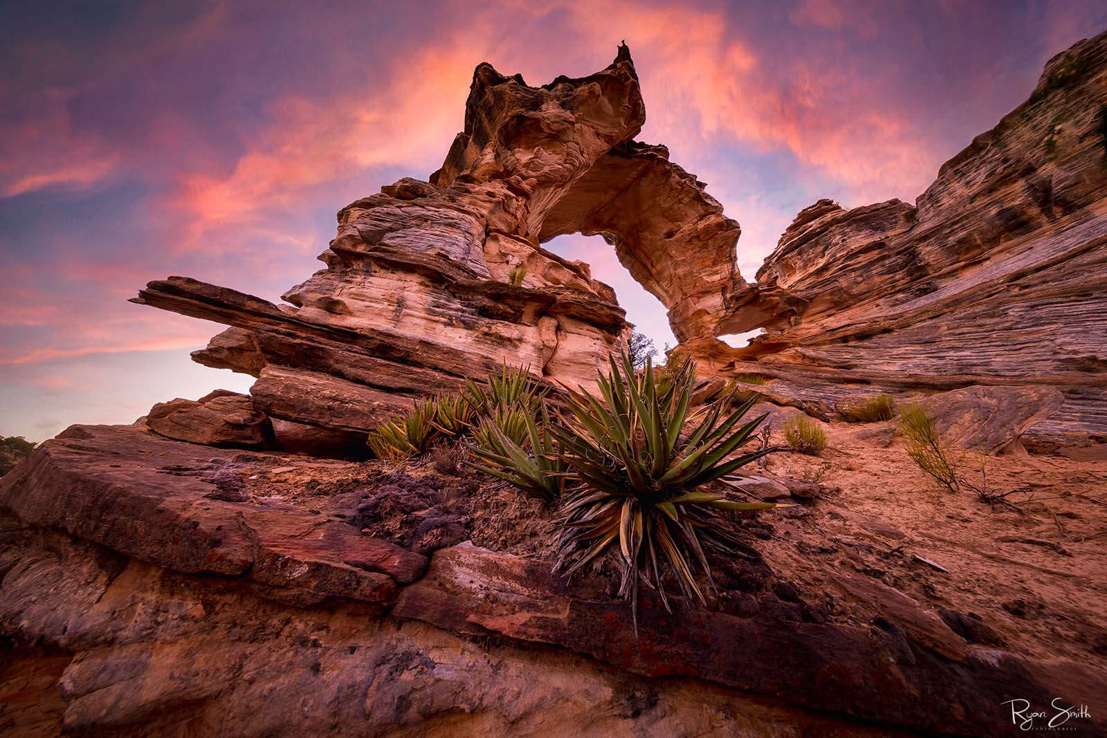 A stone arch looks like an inchworm on the canyon wall under a cotton candy sunset sky.