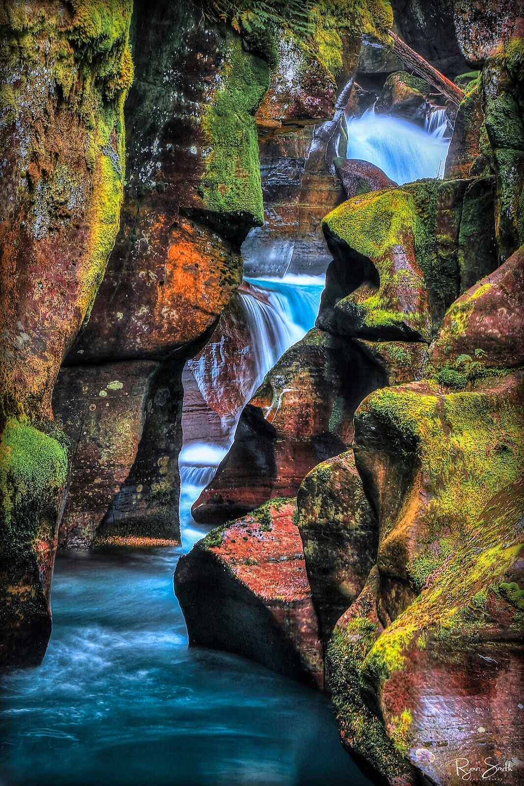 Glacier National Park Photo Workshop