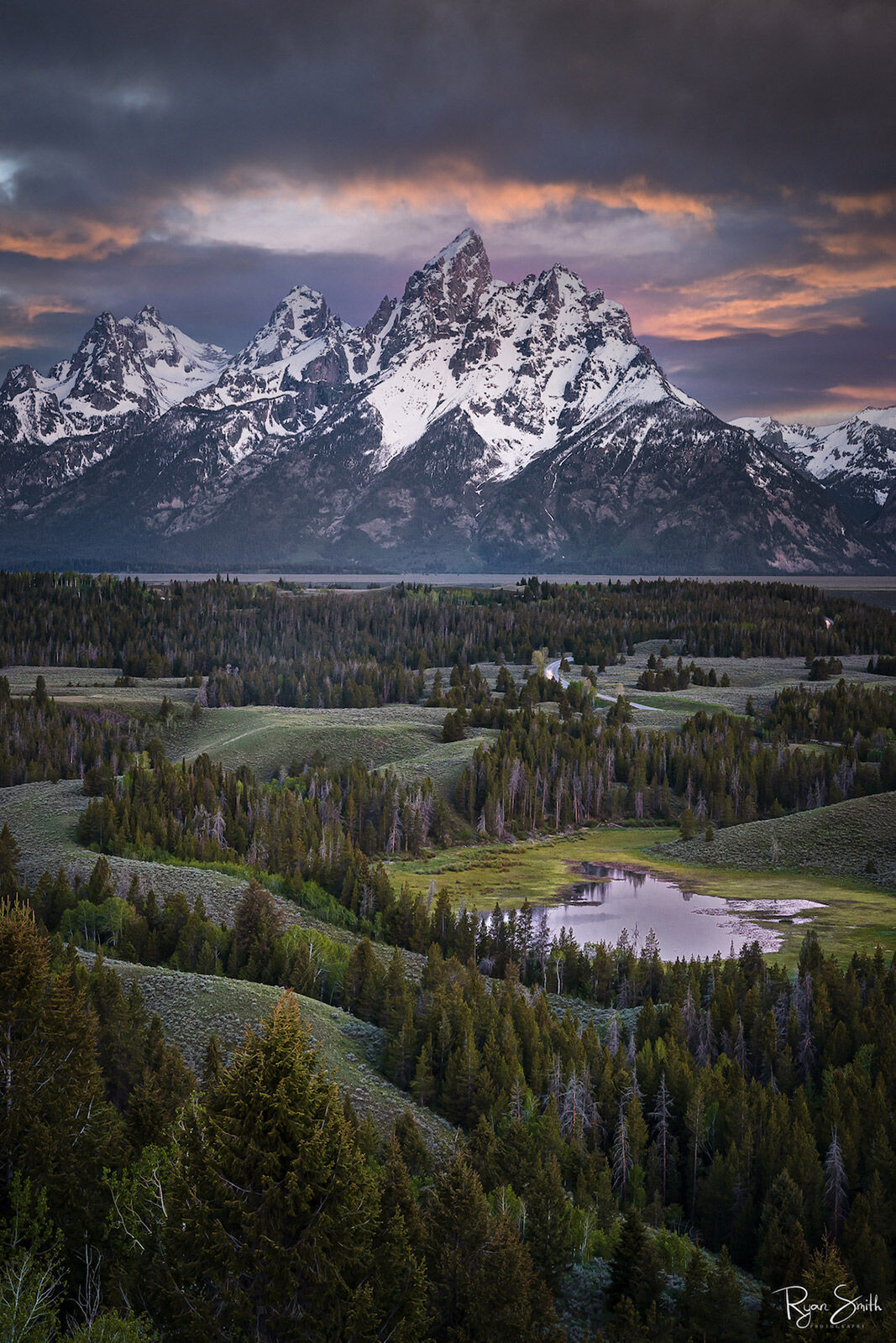 Majestic Fine Art Limited Edition of 200