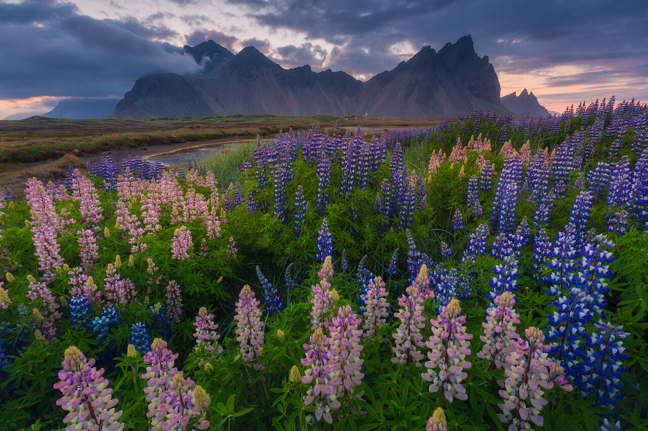 ICONS of Iceland - Midnight Sun in the Highlands Photography Workshop - Iurie Belegurschi
