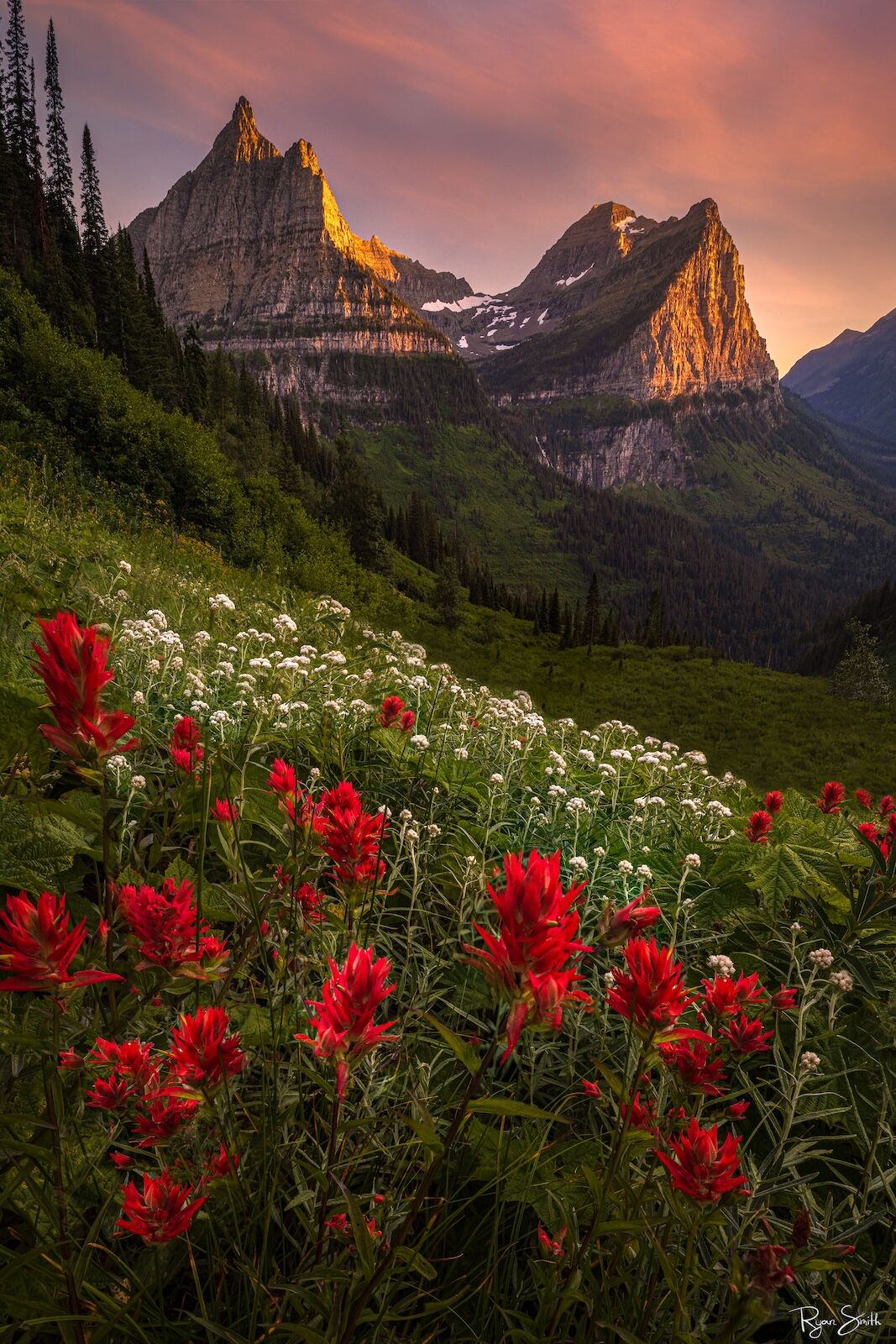 Crimson Peaks Crimson Peaks captures the breathtaking beauty of a mountain meadow in Glacier National Park, bathed in the rich hues of sunset...