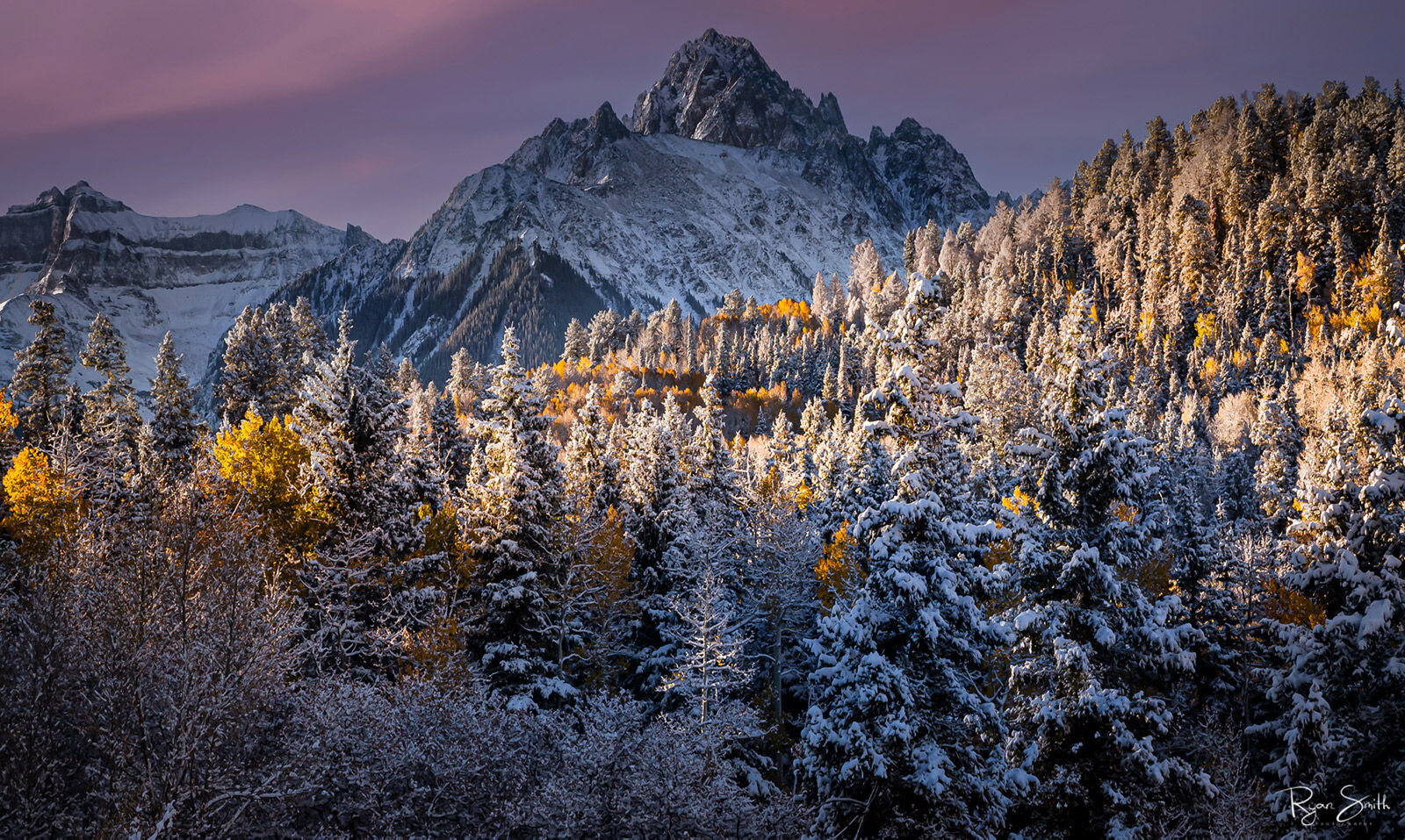 Snow covered yellow aspen trees and spruce trees stand in front of a mountain dusted in snow while the sun sets under pink clouds. 