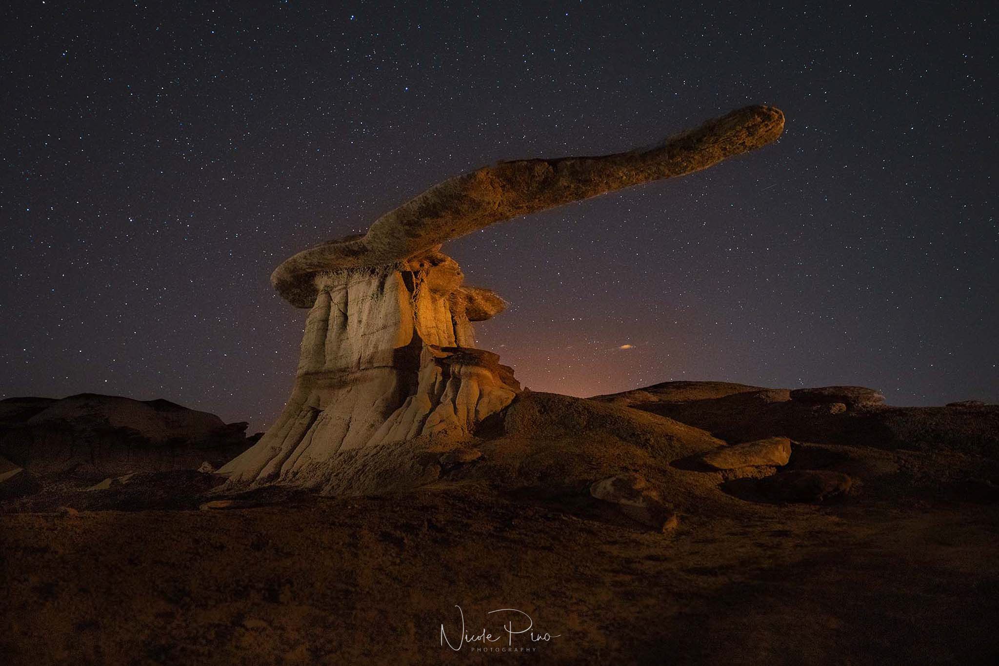 King of Wings Bisti Badlands Photography Workshop. Nicole Pino