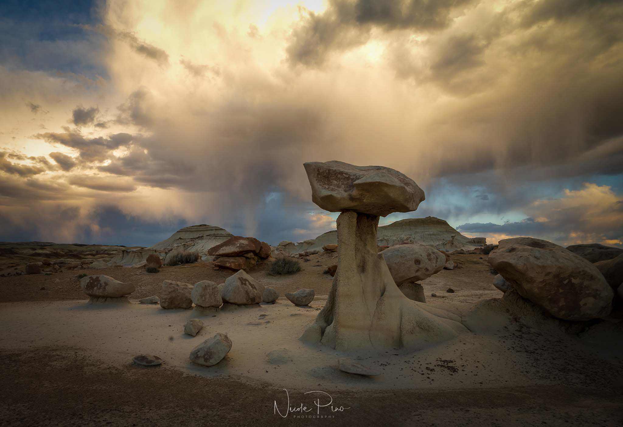 Storm over the Rock Garden in Bisti Badlands. Nicole Pino