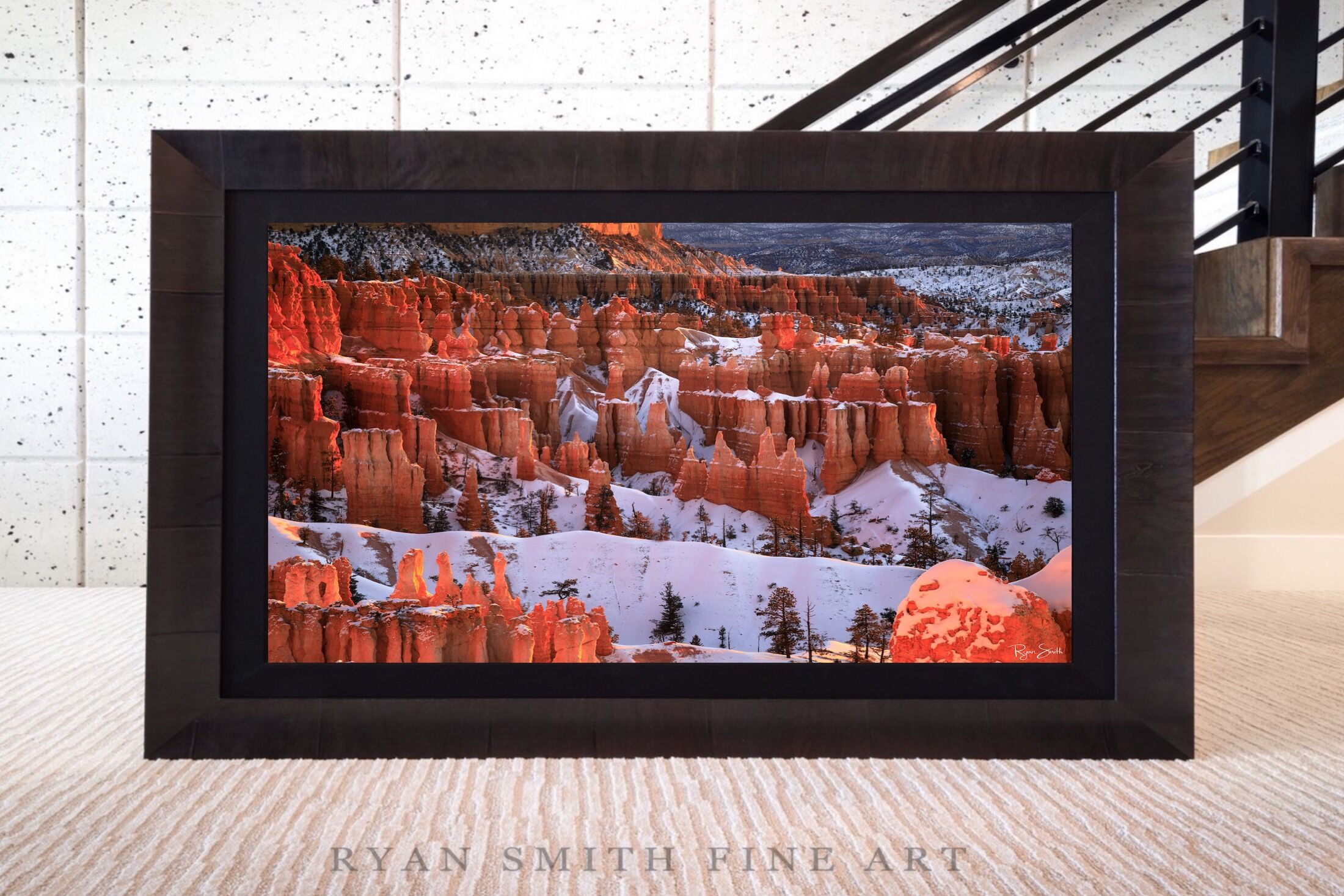 Limited Lumachrome Acrylic Roma Framed print preview