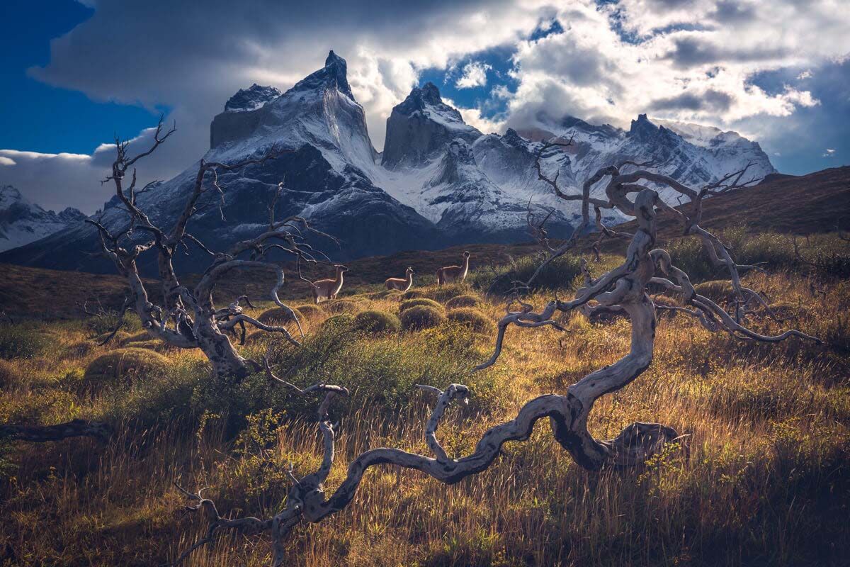 The Magic of Patagonia Photography Workshop