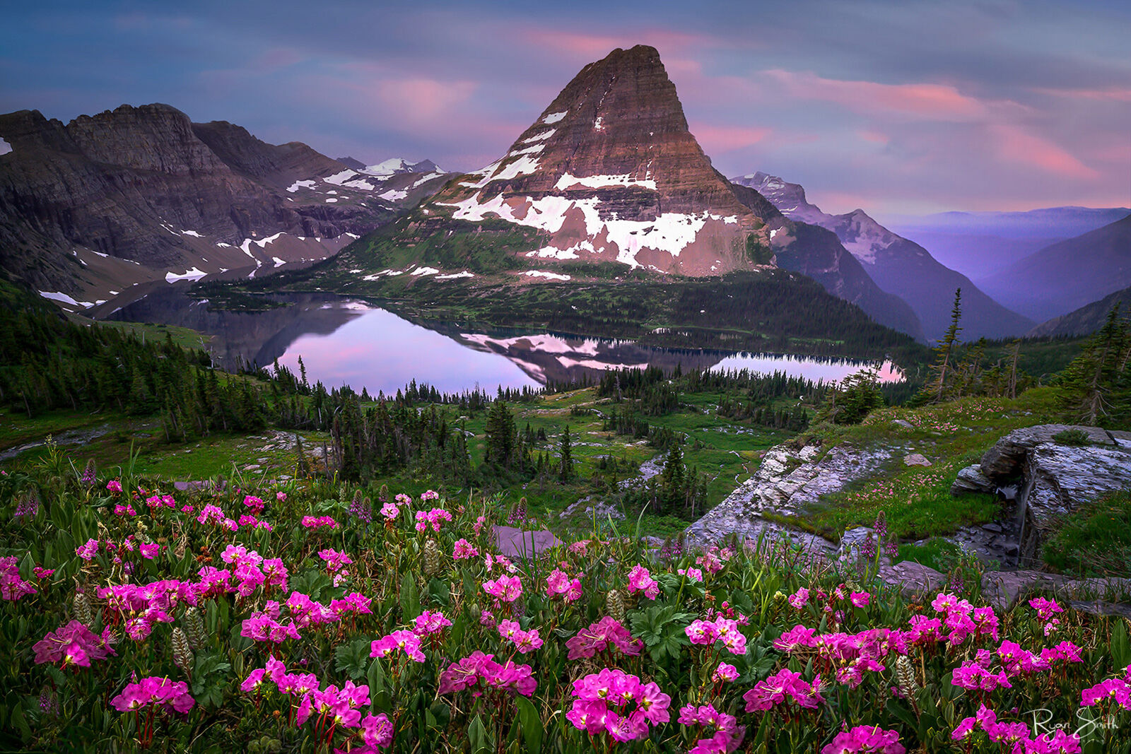 Hidden Pink wildflowers fill the meadow in front of an alpine lake with a mountain view that is reflected in the lake.