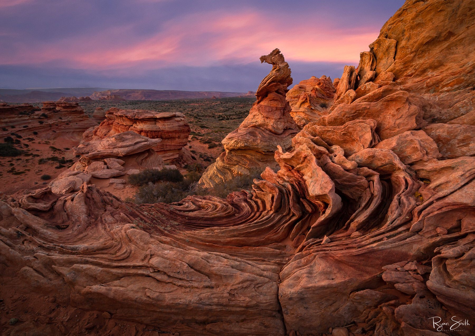 Rock formation has a rising spire that appears like a snake or seahorse with wave-like folds of red rock surrounding it with purple and pink sunset skies.