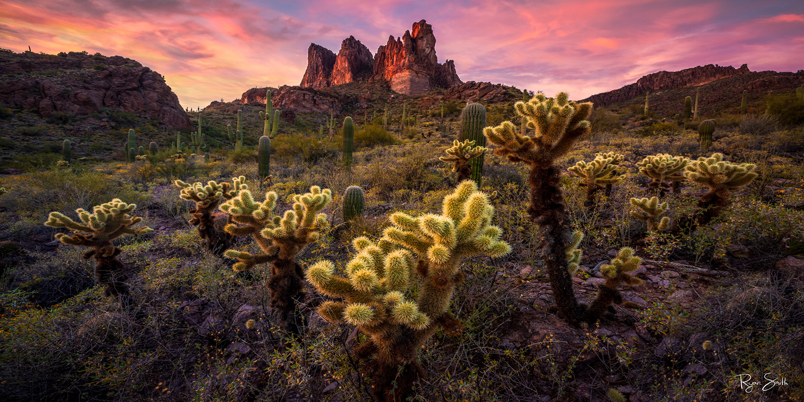 Arizona Glow Fine art photograph of the Superstition Mountains at sunset with glowing cholla cacti in the foreground, captured by Ryan Smith
