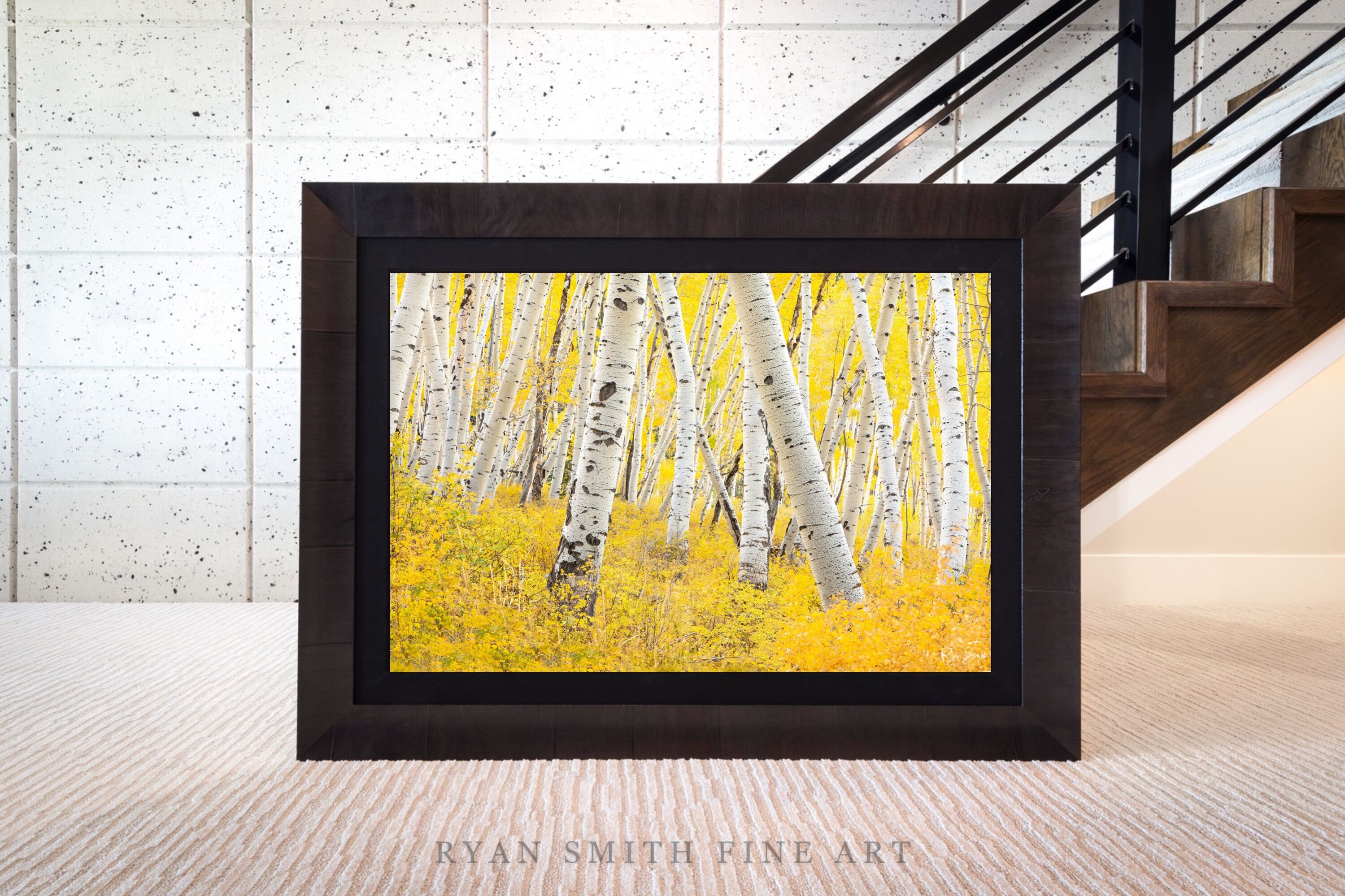 Limited Lumachrome Acrylic Roma Framed print preview