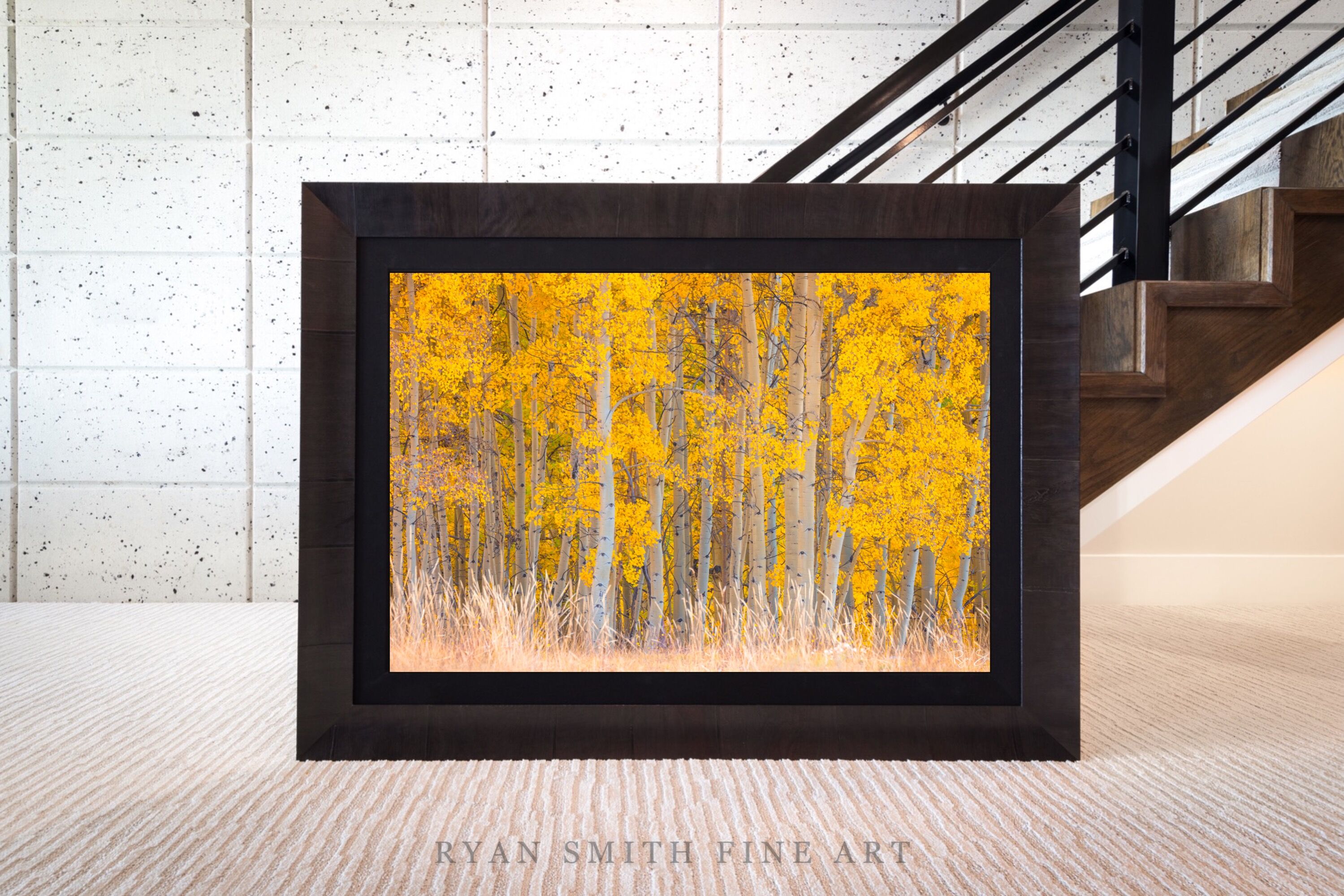 Limited Lumachrome Acrylic Roma Framed print preview