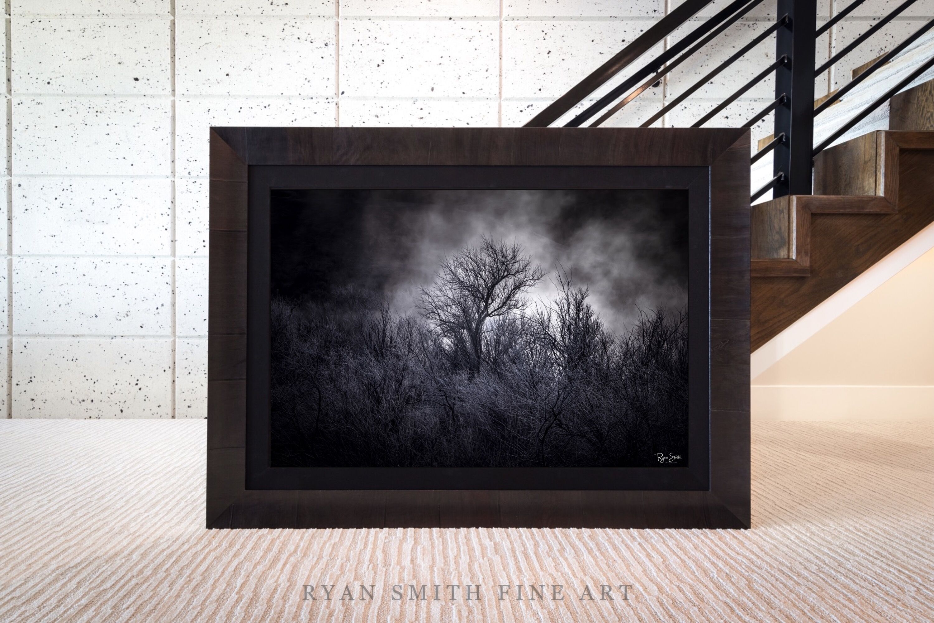 Limited Lumachrome Acrylic Roma Framed print preview