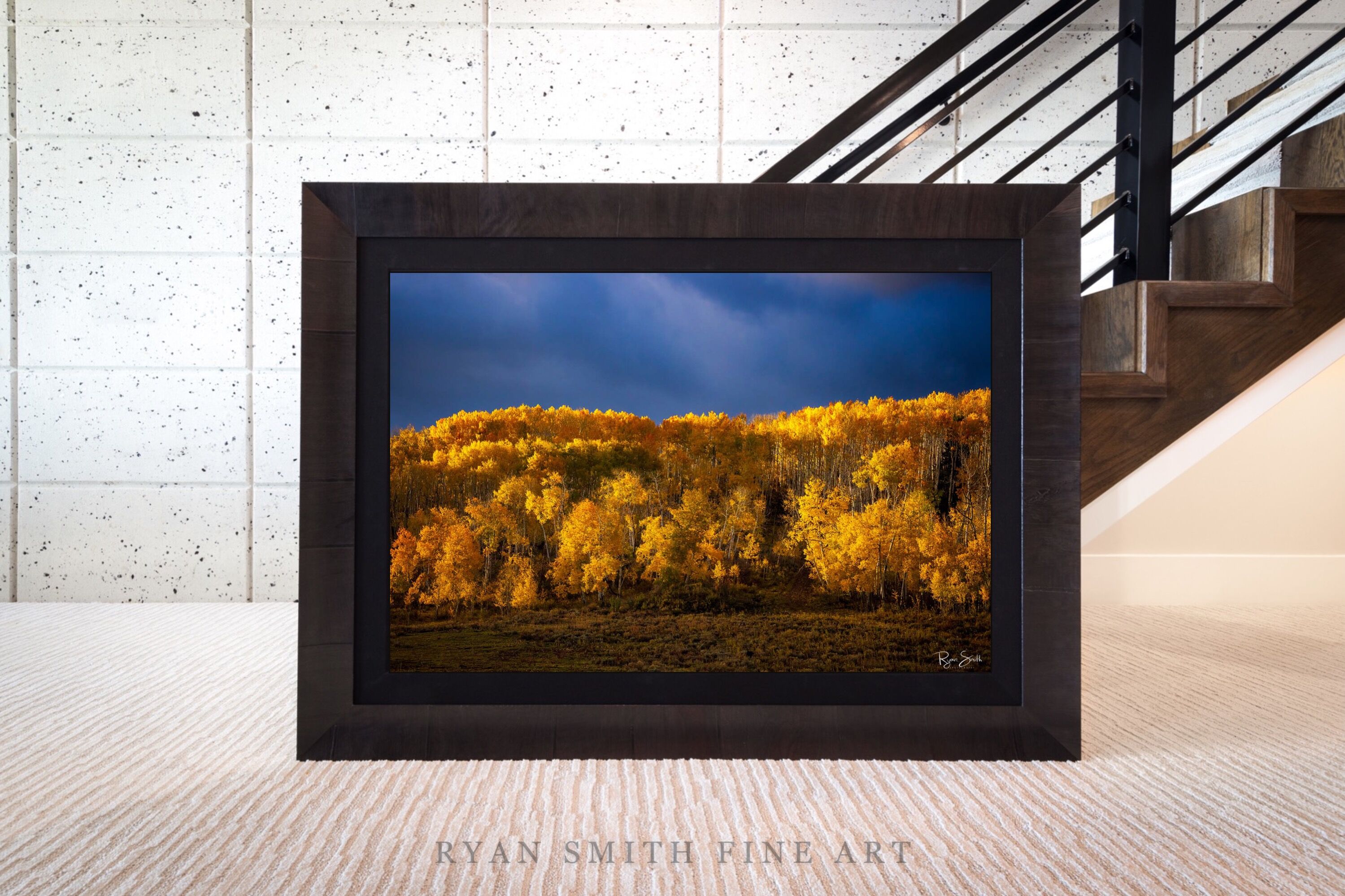 Limited Lumachrome Acrylic Roma Framed print preview