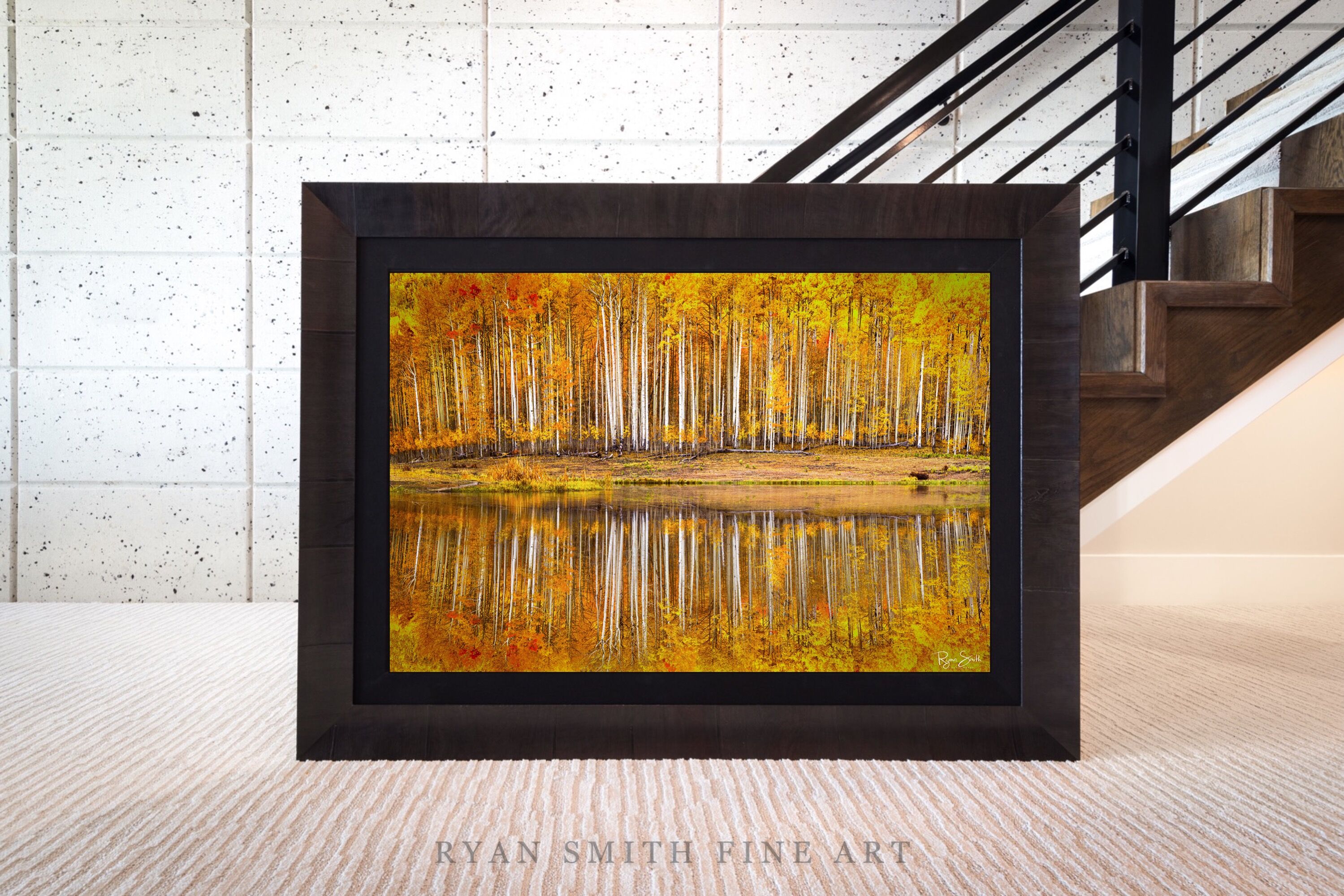Limited Lumachrome Acrylic Roma Framed print preview