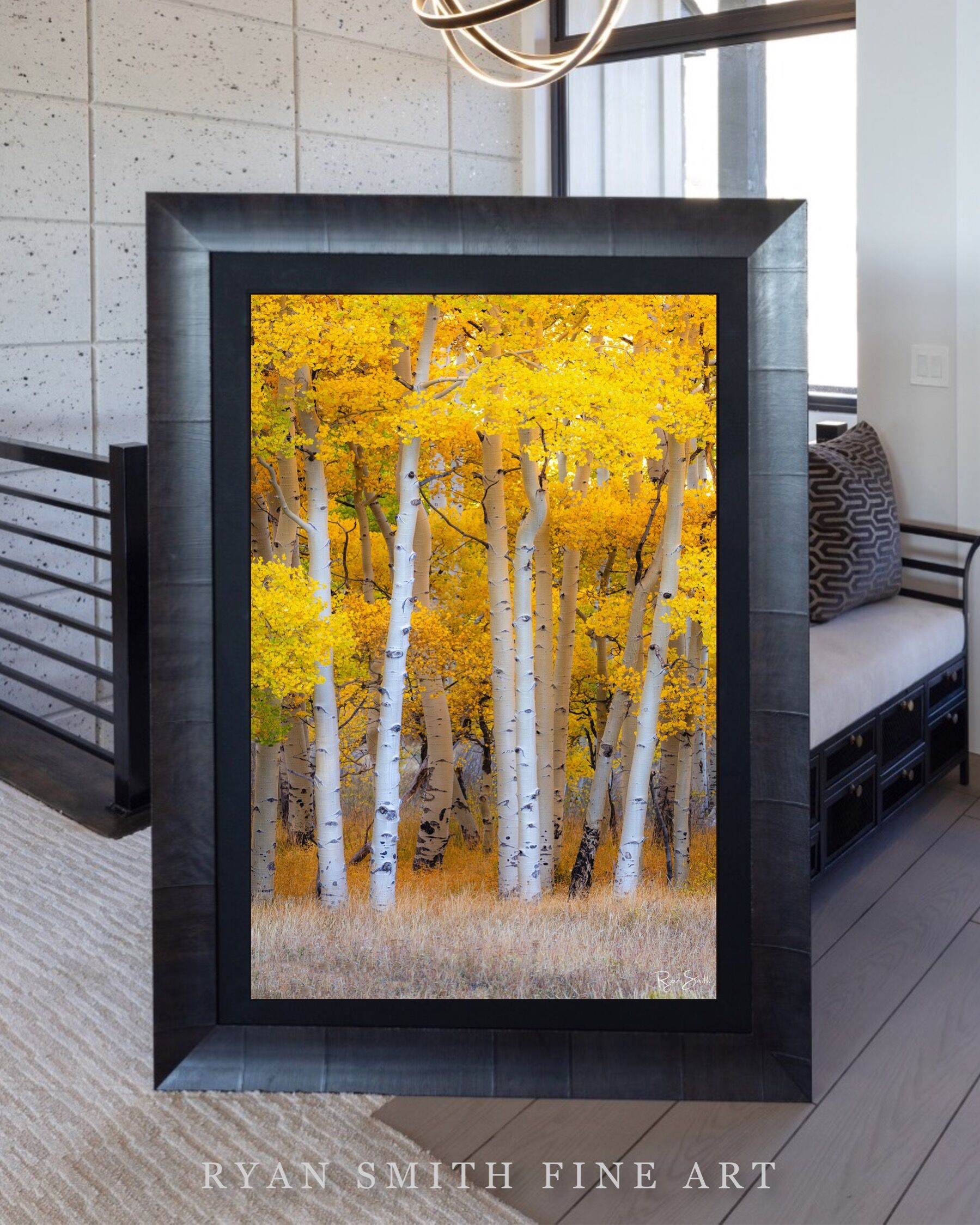 Limited Lumachrome Acrylic Roma Framed print preview