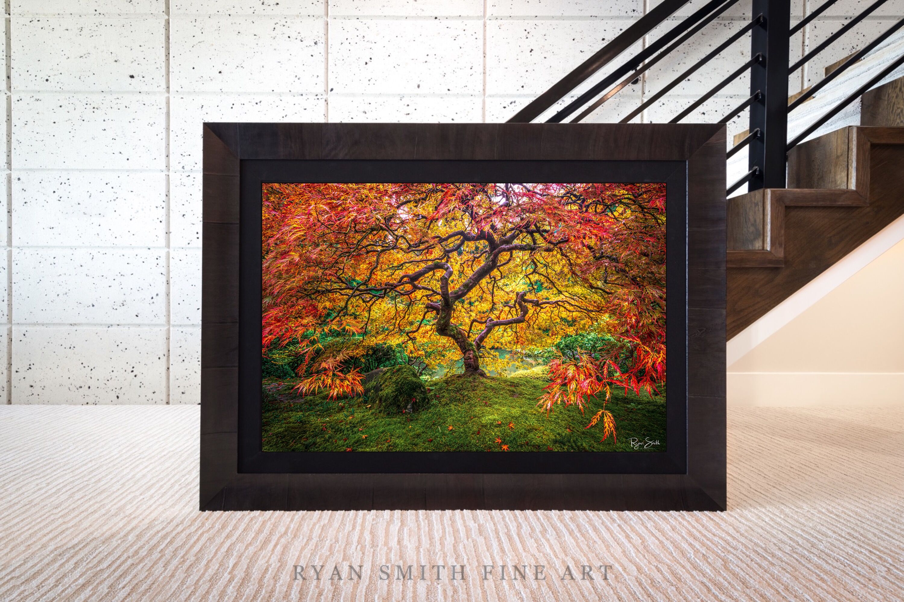 Limited Lumachrome Acrylic Roma Framed print preview