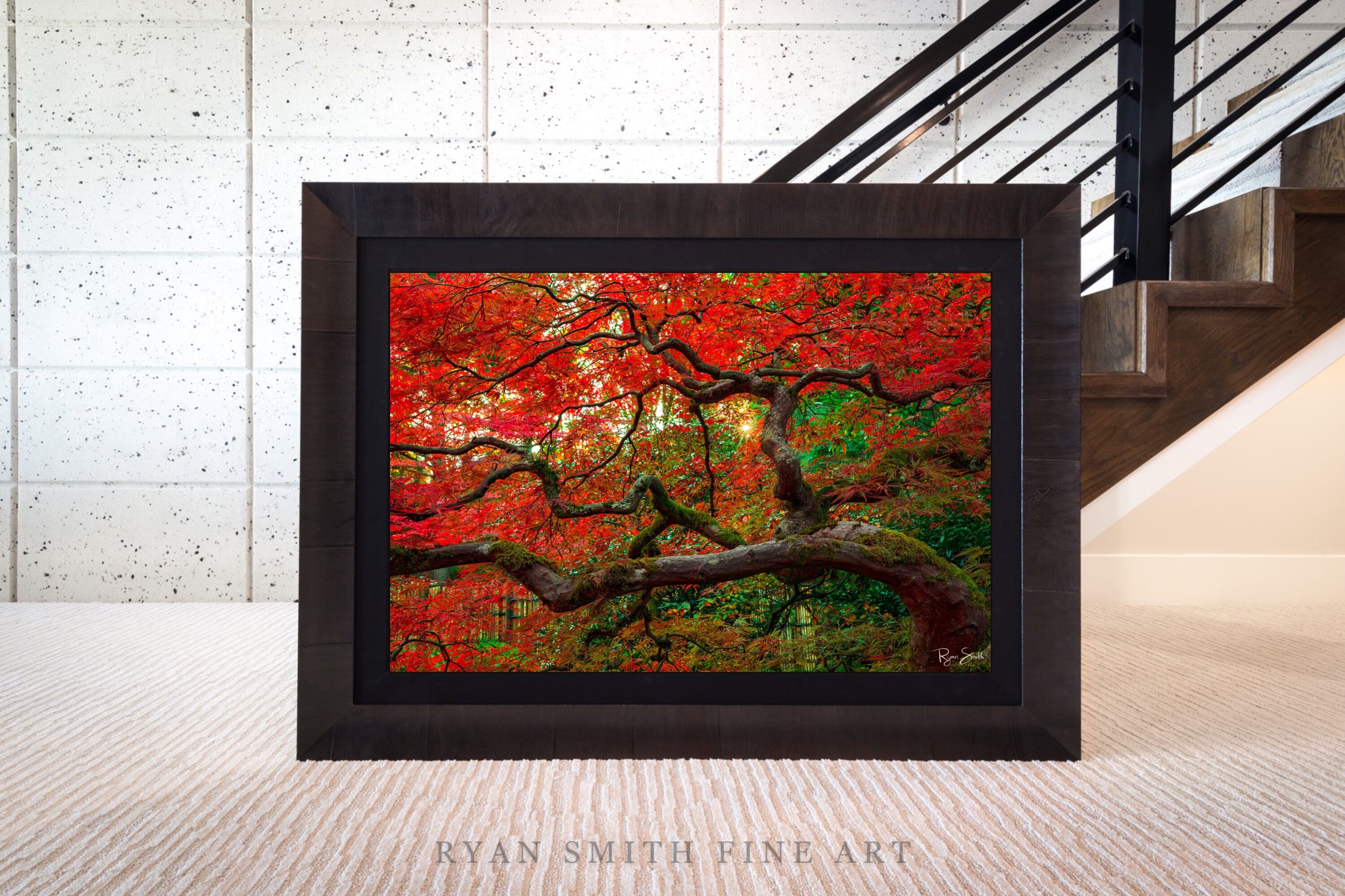 Limited Lumachrome Acrylic Roma Framed print preview