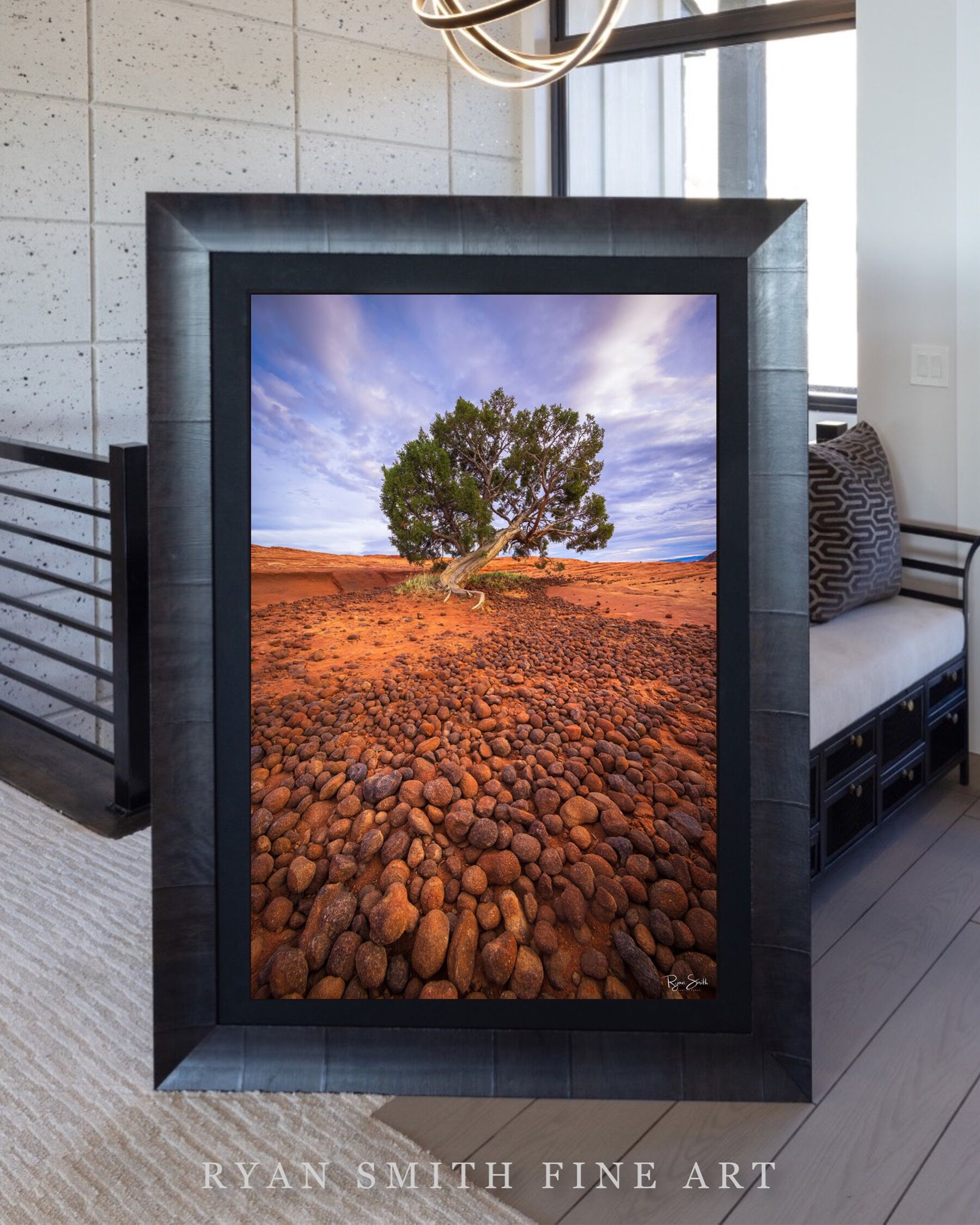 Limited Lumachrome Acrylic Roma Framed print preview
