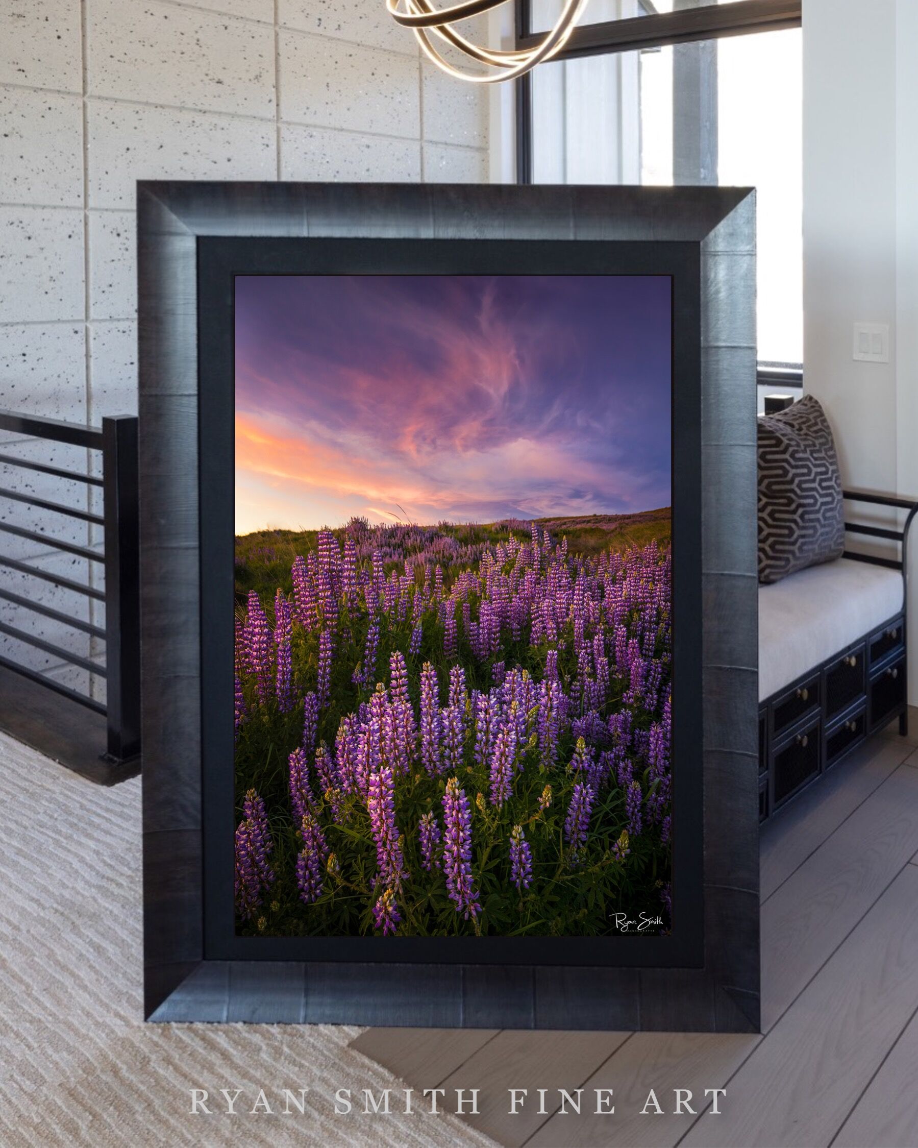 Limited Lumachrome Acrylic Roma Framed print preview