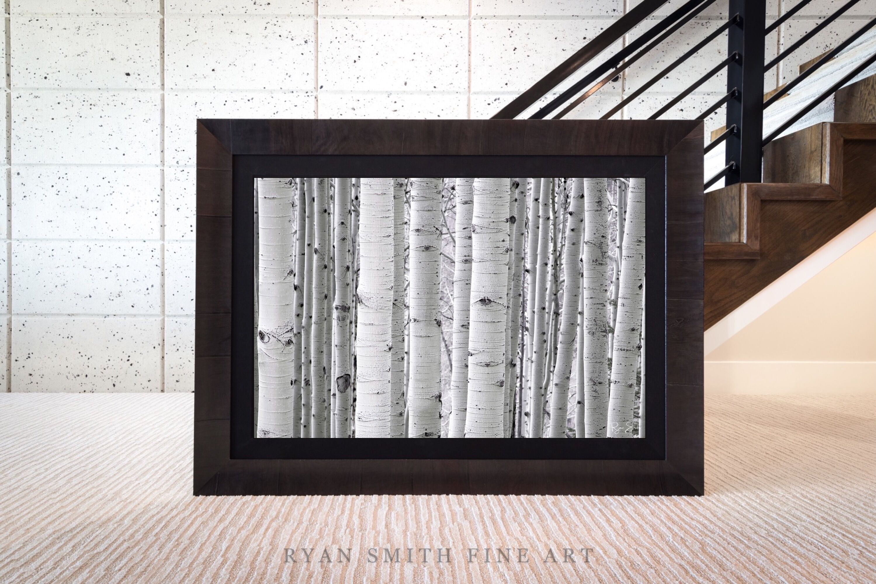 Limited Lumachrome Acrylic Roma Framed print preview