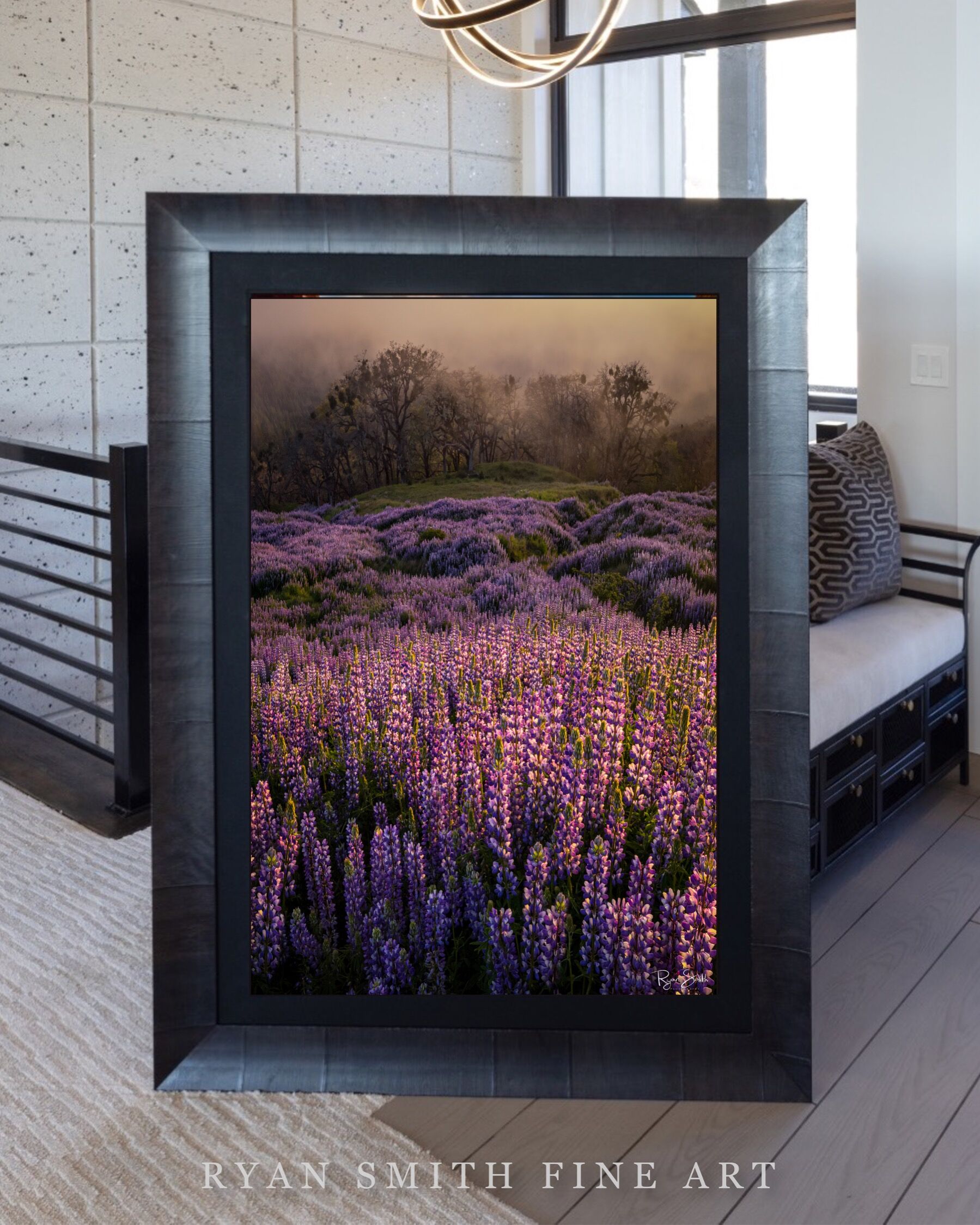 Limited Lumachrome Acrylic Roma Framed print preview