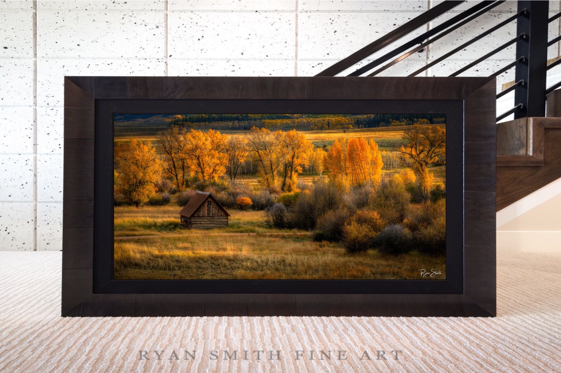 Limited Lumachrome Acrylic Roma Framed print preview