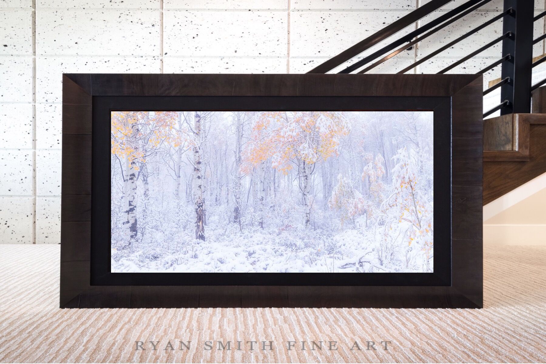 Limited Lumachrome Acrylic Roma Framed print preview
