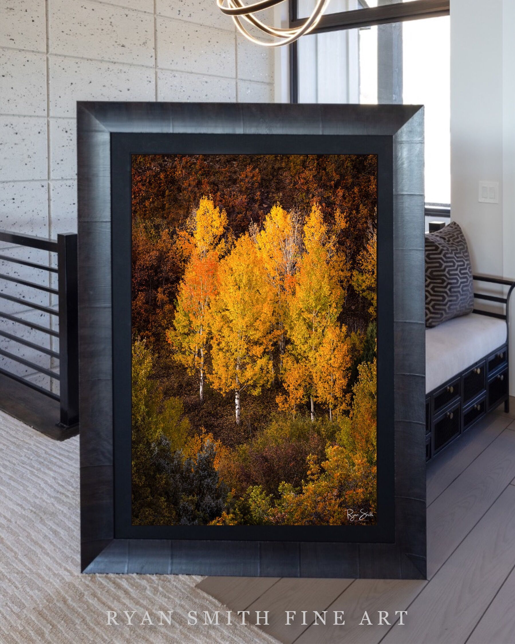 Limited Lumachrome Acrylic Roma Framed print preview