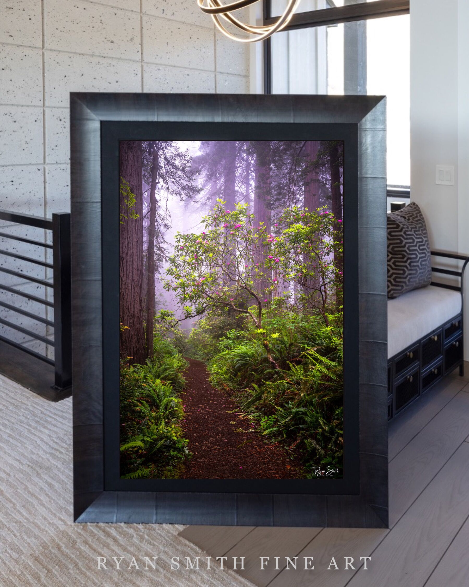 Limited Lumachrome Acrylic Roma Framed print preview