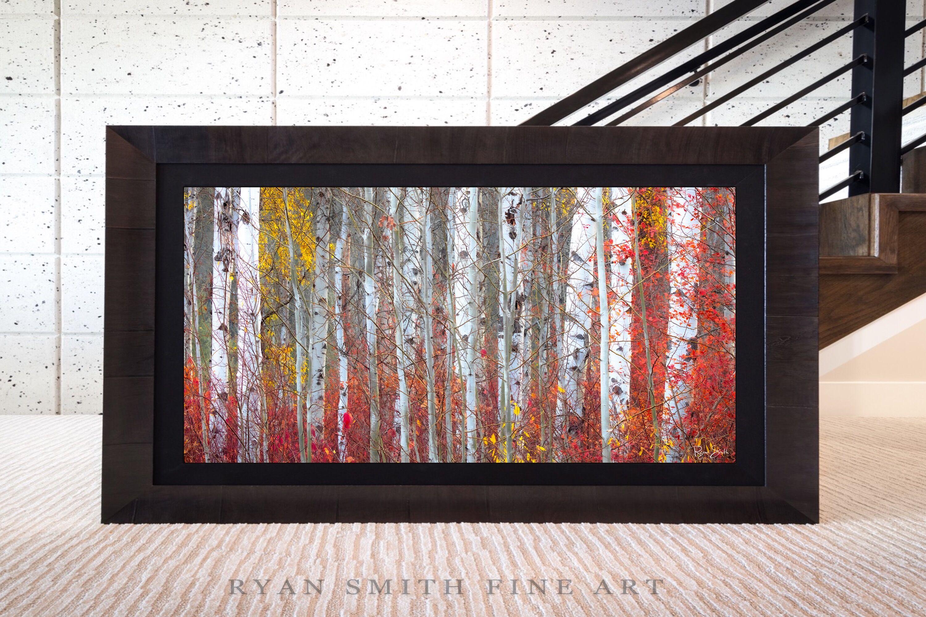 Limited Lumachrome Acrylic Roma Framed print preview