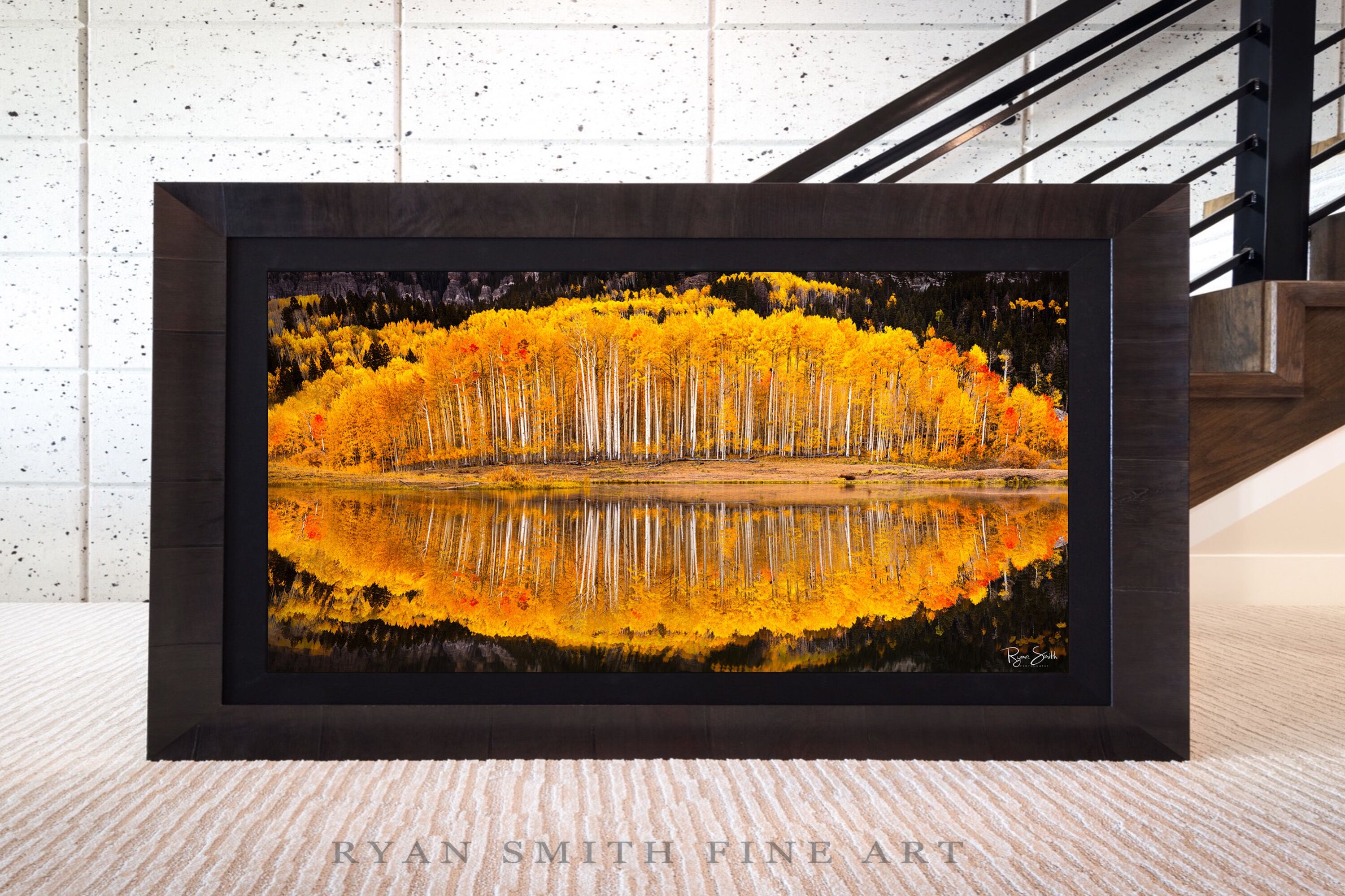 Limited Lumachrome Acrylic Roma Framed print preview