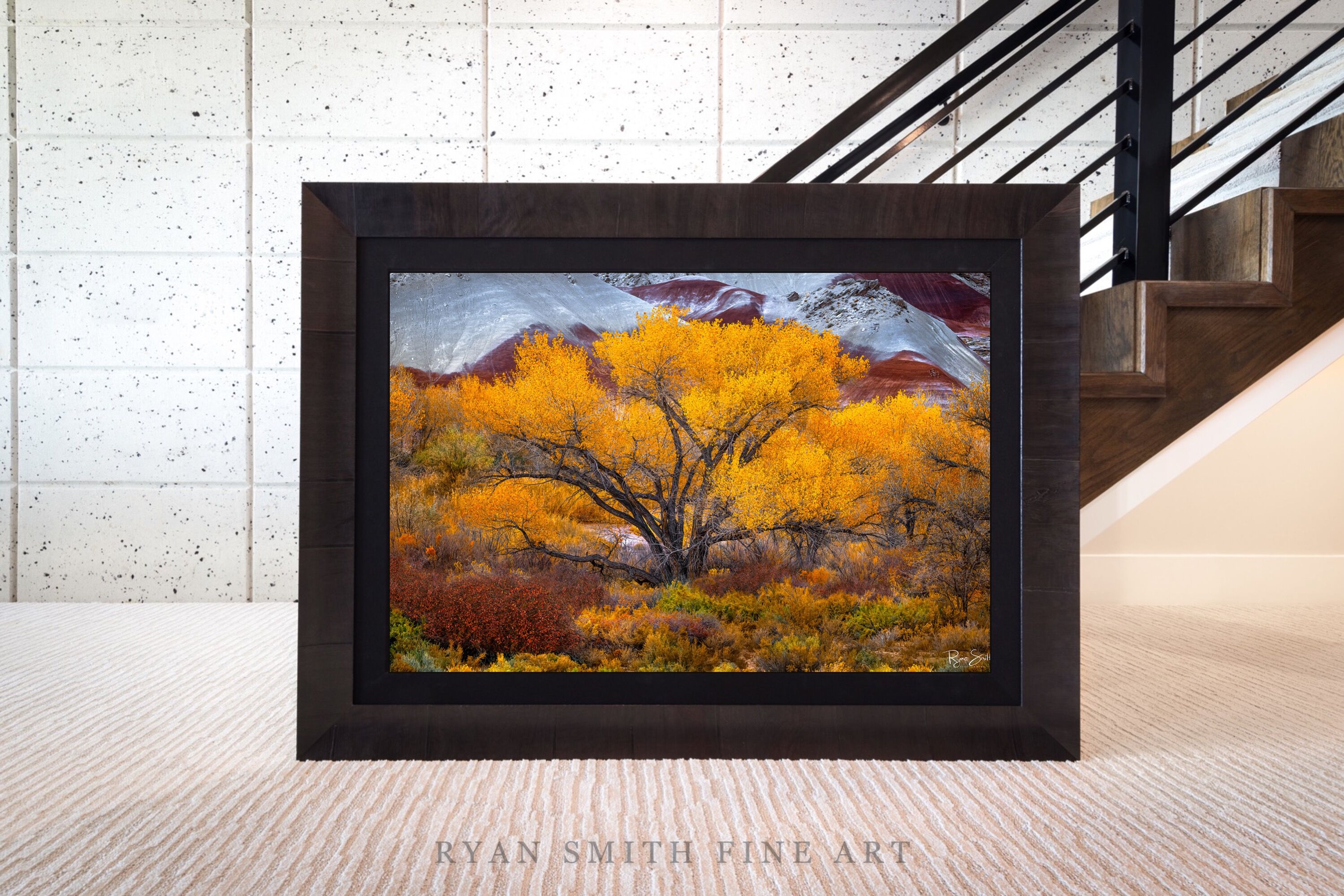 Limited Lumachrome Acrylic Roma Framed print preview