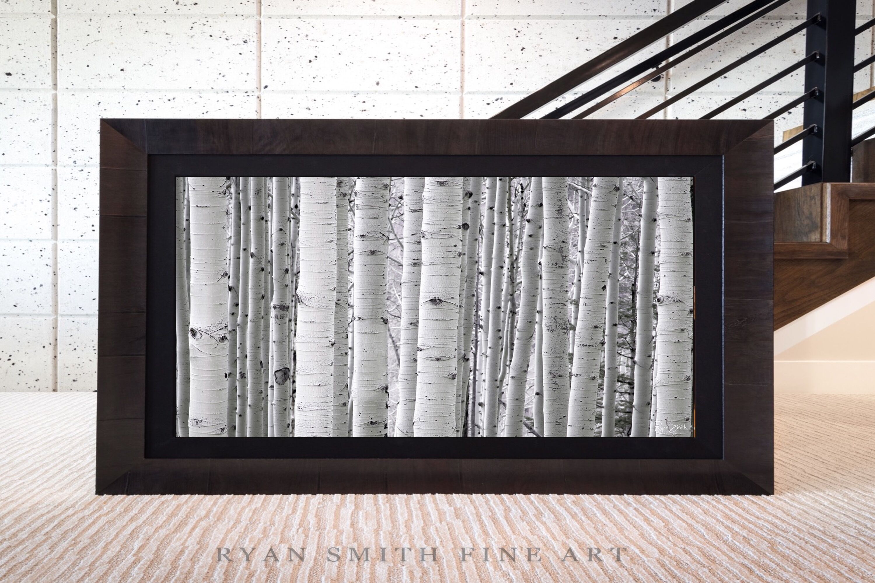 Limited Lumachrome Acrylic Roma Framed print preview