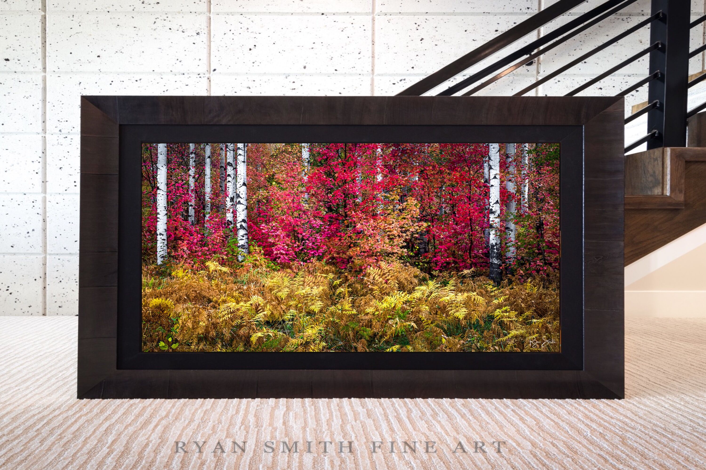 Limited Lumachrome Acrylic Roma Framed print preview